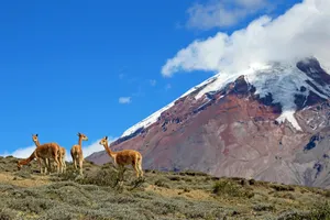 Adventure Ecuador
