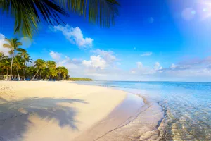 Revelion 2026 - Circuit Montego Bay, Jamaica, Nassau, Bahamas & Miami, SUA, 13 zile