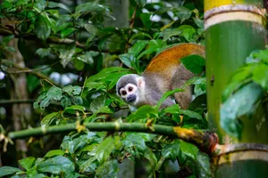 Highlights Ecuador & Galapagos