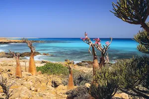 Circuit de grup - Adventure Socotra, 11 zile - cu Andreea Maftei - SOLD OUT