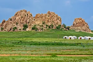 Taste of Mongolia