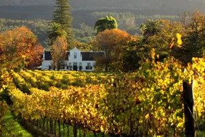 Share a Trip - Circuit Africa de Sud, Cape Town & Winelands - 10 zile, iulie 2026