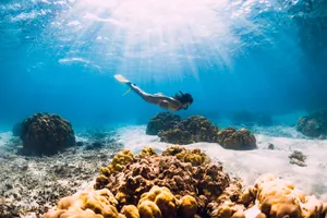Discover Mauritius & Seychelles