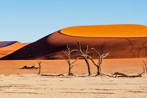 Best of Namibia