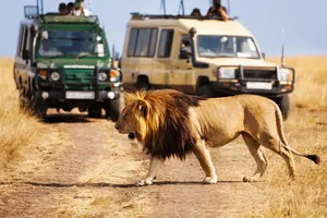 Share a Trip Charter Kenya - Safari Tsavo & Diani Beach, 9 zile - februarie 2026
