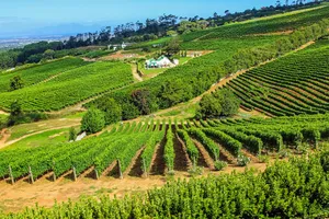 Share a Trip - Circuit Africa de Sud, Cape Town & Winelands - 10 zile, noiembrie 2026