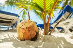 Sejur plaja La Romana & Punta Cana, Republica Dominicana, 12 zile, mai 2023