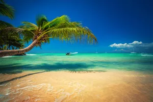Sejur plaja Punta Cana, 9 zile - 24 iunie 2023