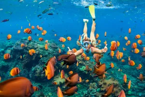 Sejur plaja La Romana & Punta Cana, 9 zile - noiembrie 2026