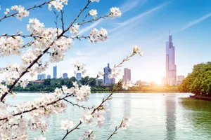 Circuit de grup - Festivalul pomilor infloriti din China, 14 zile - 20 martie 2026