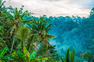 Sejur Ubud si plaja Bali Sud, Indonezia, 11 zile - octombrie 2026