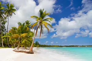 Sejur cu familia plaja Punta Cana, Republica Dominicana, 9 zile - martie 2026