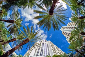 Valentines Day - Sejur New York & Miami, 10 zile - februarie 2022