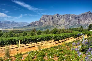 Circuit de grup - Experience Africa de Sud, Cascada Victoria & Botswana, 14 zile - august 2026