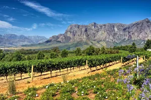 Grup Highlights Africa de Sud, Cascada Victoria & Botswana, 14 zile - august 2027