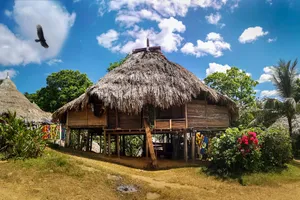 Share a trip - Discover Panama City & Padurea Tropicala, 9 zile - martie 2026
