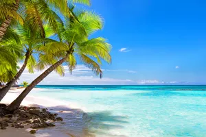 Sejur plaja Punta Cana, Republica Dominicana, 11 zile - februarie 2022