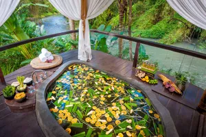 Rejuvenation & Detox at Fivelements Retreat Bali