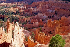 Circuit self drive Las Vegas, Grand Canyon & Bryce Canyon, SUA, 9 zile - martie 2026