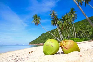Sejur plaja La Romana, Republica Dominicana, 9 zile - mai 2023