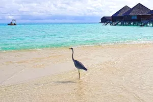 Sejur plaja charter Maldive, 10 zile - 20 februarie 2026