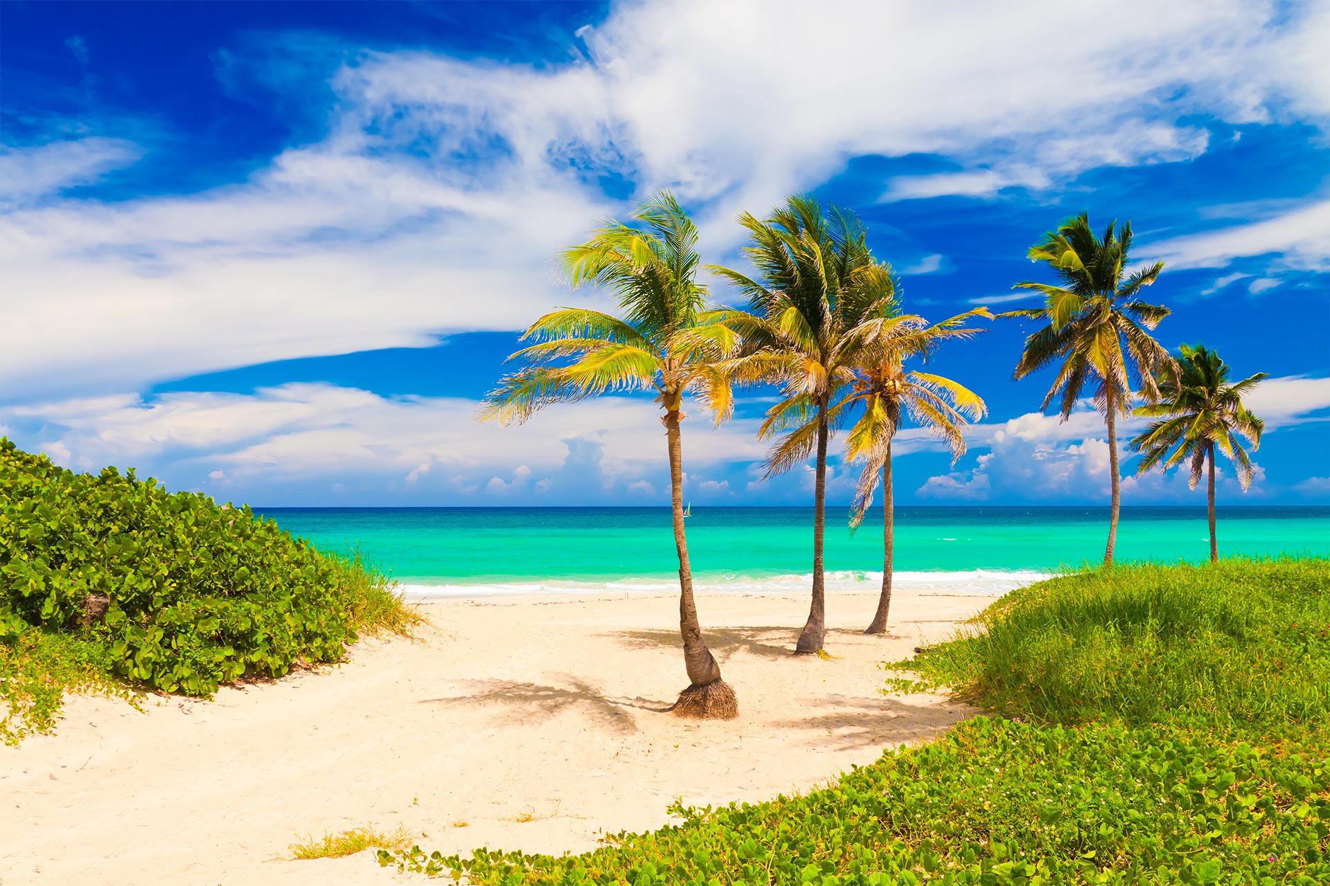 Sejur plaja Varadero, 10 zile - august
