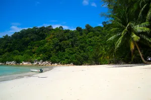 Diving in Malaezia