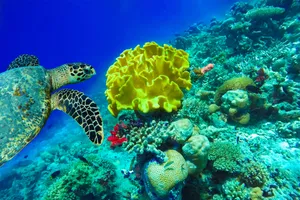 Sejur plaja Maldive, 10 zile - octombrie 2022