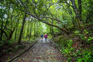 Share a Trip - Charter Madeira, 8 zile - 02 septembrie 2026