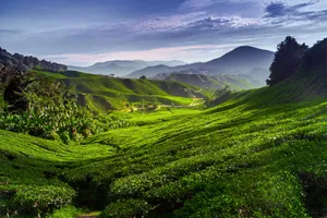 Best National Parks of Malaysia