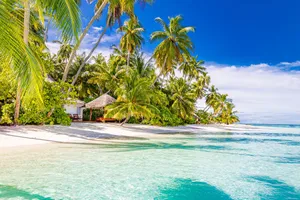 Sejur plaja Maldive, 10 zile - august 2022