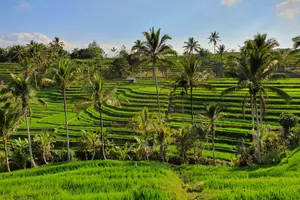 Circuit de grup - Adventure Indonezia, 13 zile - iulie 2026