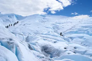 Circuit Patagonia - cu grup international