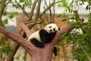 Oferta zilei - Share a trip - Discover China & Laos, 13 zile - august 2026