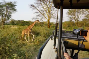 Circuit de grup - Marea Migratie Kenya, 9 zile - 12 august 2022