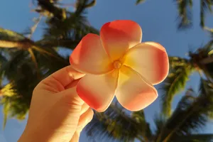 Circuit Singapore & Filipine , 12 zile - martie