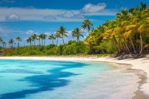 Sejur plaja La Romana & Punta Cana, 10 zile - octombrie 2023