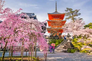 Circuit de grup - Sakura, festivalul ciresilor infloriti in Japonia & Coreea de Sud, cu Razvan Pascu & tour leader Eturia, 14 zile - 29 martie 2026