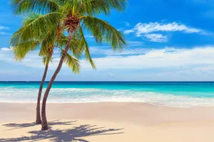 Sejur plaja Punta Cana, Republica Dominicana, 9 zile - ianuarie 2026