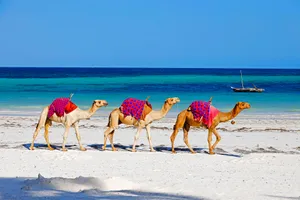 Sejur plaja Diani Beach, Kenya, 9 zile, iulie 2023