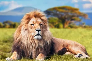 Share a Trip Tanzania - Plaja Zanzibar & safari Saadani, 10 zile - ianuarie 2027