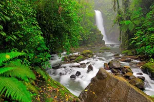 Discover Costa Rica & Columbia, 16 zile