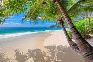 Sejur plaja Montego Bay, 9 zile - ianuarie 2022