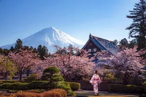 Circuit de grup - Sakura - Sarbatoarea ciresilor infloriti din Japonia, 12 zile - 19 martie 2027 - cu Octavian Buzdugan