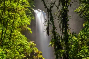 Discover Costa Rica, 13 zile