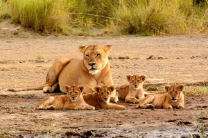 Tanzania & Zanzibar In Style