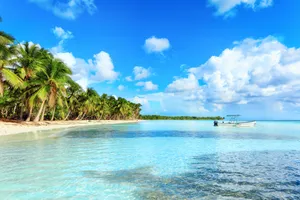 8 Martie 2027 - Sejur plaja Punta Cana, Republica Dominicana, 10 zile