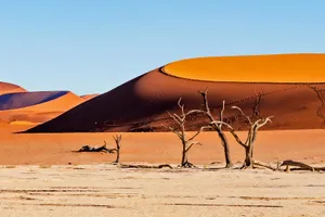 Grup Highlights Namibia, Zimbabwe, Botswana & Africa de Sud, 13 zile - mai 2027