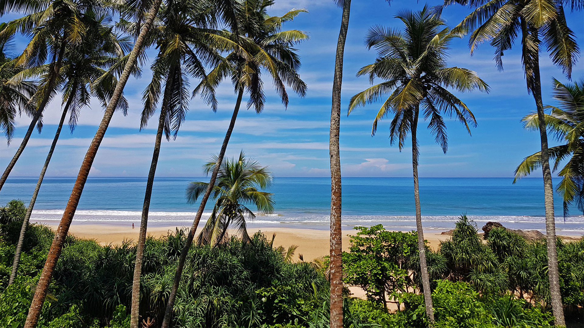 Escape Colombo & plaja Bentota, Sri Lanka - iunie 2026