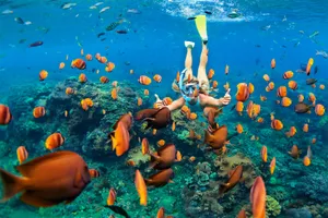 images/product/7f0fa0e4-c514-4ff1-a371-76f3570d2335/e4c6b5c128bba83ee4682292b2ee0ac6/original_1.jpg